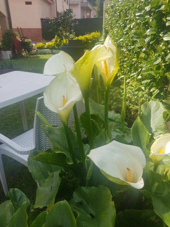 Piano di Follo B&B La Damigiana Fioi المظهر الخارجي الصورة