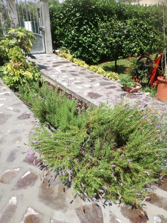Piano di Follo B&B La Damigiana Fioi المظهر الخارجي الصورة