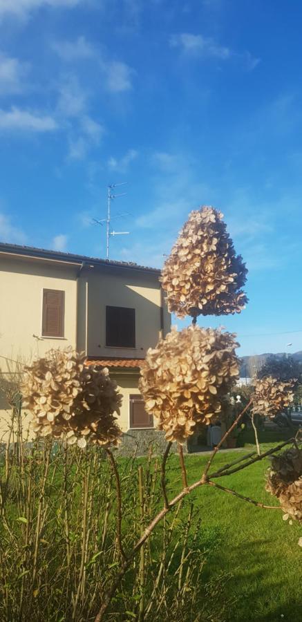 Piano di Follo B&B La Damigiana Fioi المظهر الخارجي الصورة