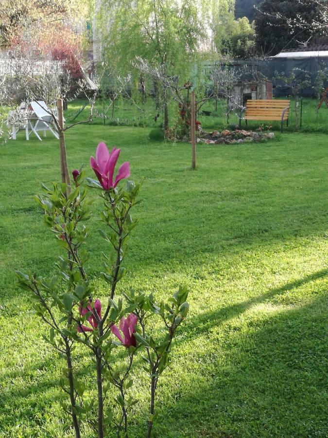 Piano di Follo B&B La Damigiana Fioi المظهر الخارجي الصورة