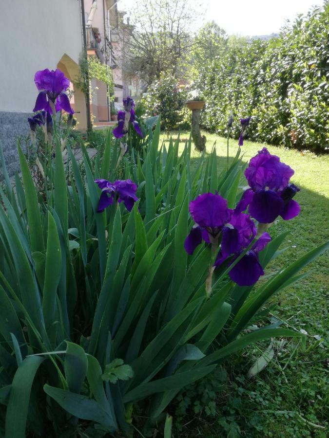 Piano di Follo B&B La Damigiana Fioi المظهر الخارجي الصورة