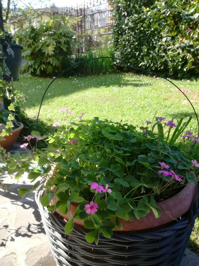 Piano di Follo B&B La Damigiana Fioi المظهر الخارجي الصورة