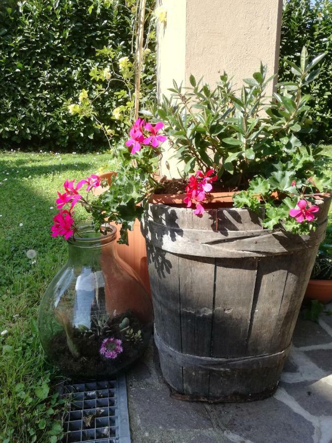 Piano di Follo B&B La Damigiana Fioi المظهر الخارجي الصورة