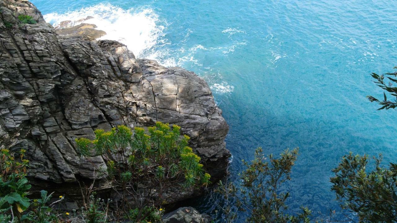 Piano di Follo B&B La Damigiana Fioi المظهر الخارجي الصورة